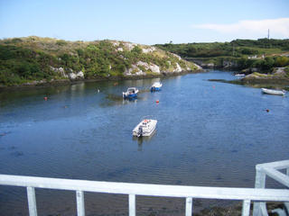 The Heron'S Cove Goleen エクステリア 写真